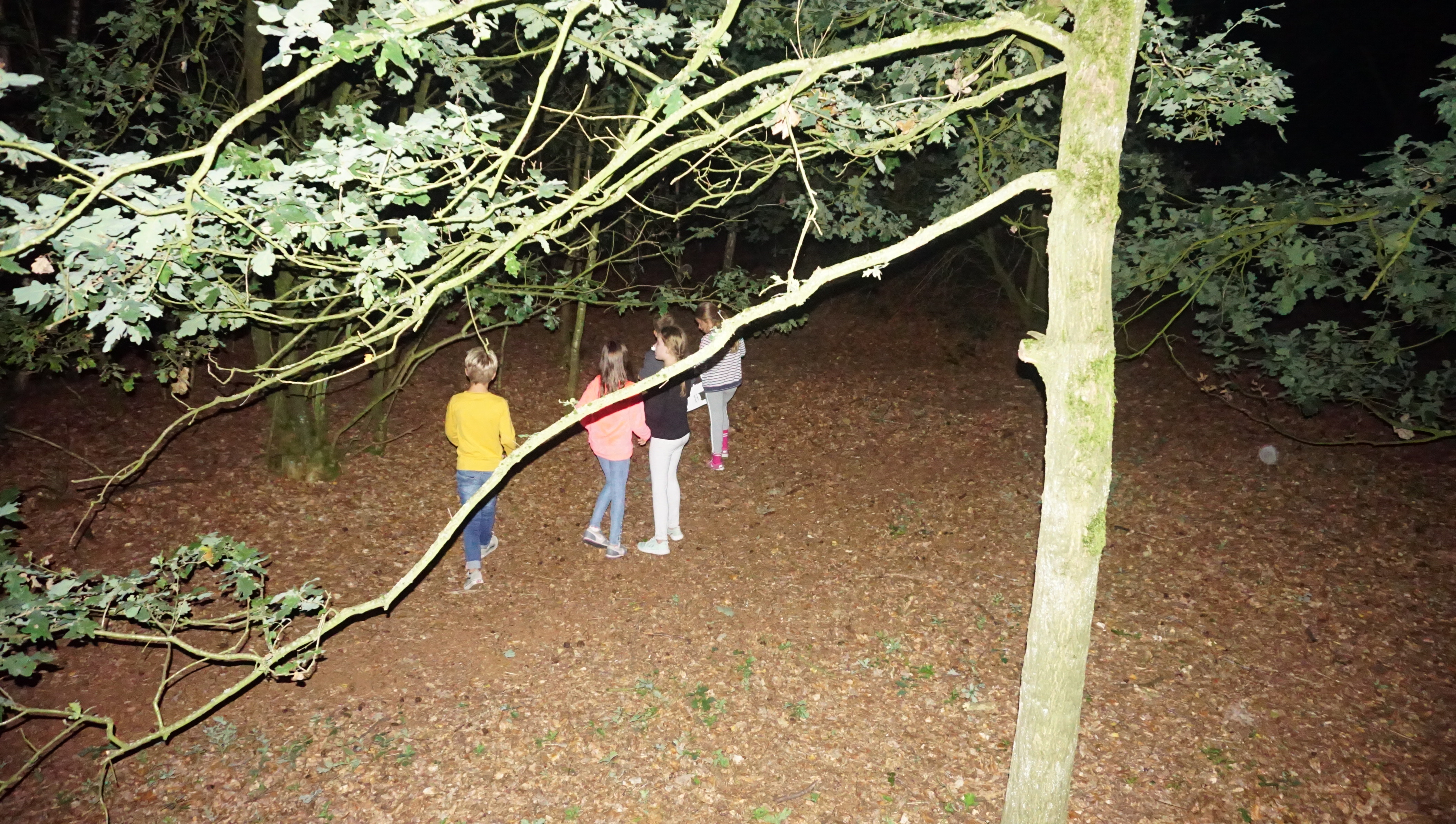 DSC04066